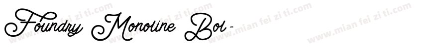 Foundry Monoline Bol字体转换